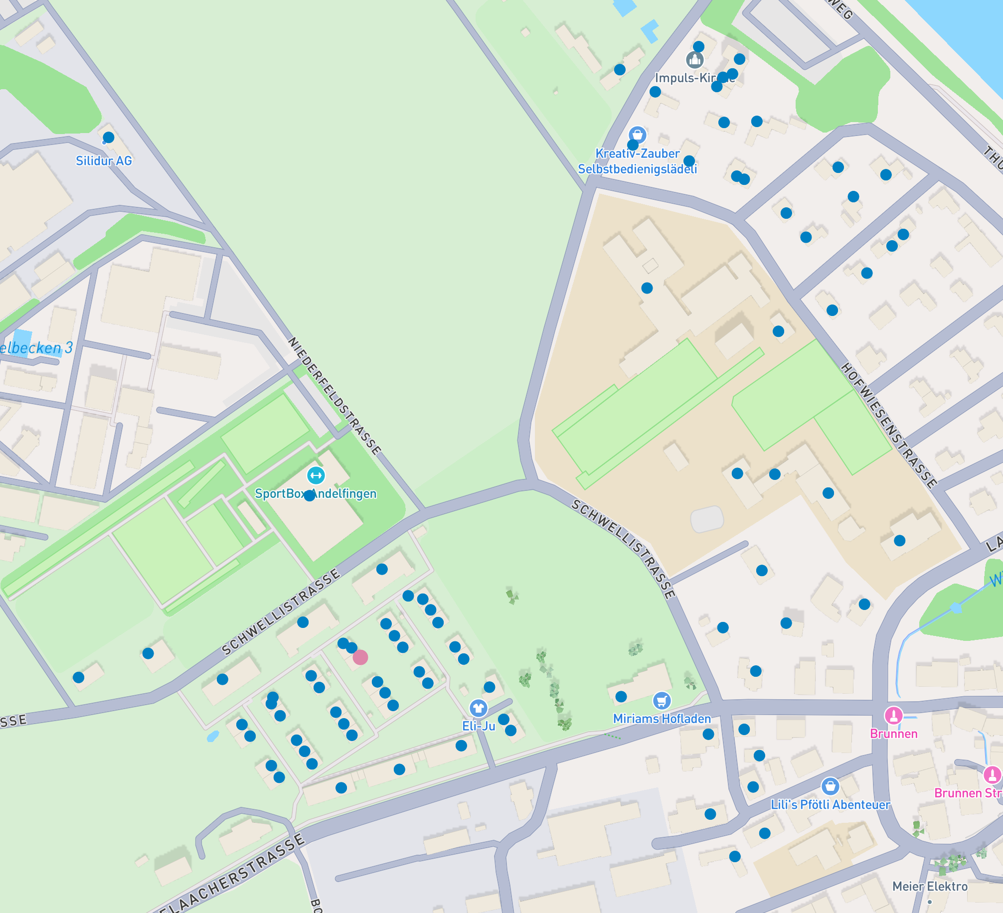 Karte des LEG-Netzgebiets in Andelfingen rund um Schwellistrasse, Hofwiesenstrasse und Niederfeldstrasse